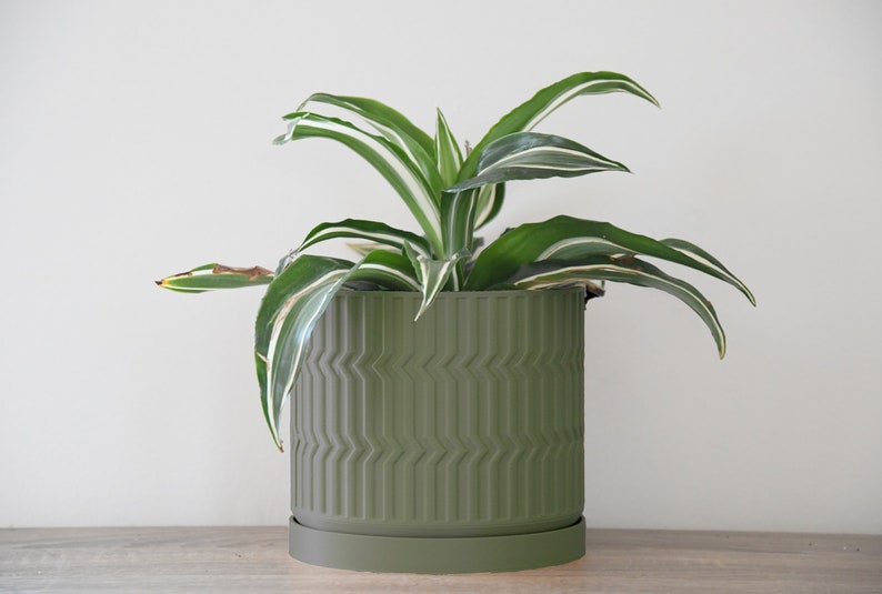 The Mabel Planter in Matte Dark Green image 3