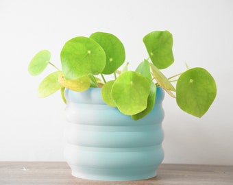 Fioriera Bubbly con drenaggio e sottovaso in blu zucchero filato, vaso per piante unico stampato in 3D, dimensioni da piccole a grandi: 4" 5" 6" 7" 8"