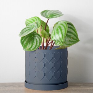 Heart Planter with Drainage, 3D Printed Plant Pot, Home Decor, Blue Planter, 6 Inch, 8 Inch, Succulent Pot, Flower Pot, Unique Planter, Plant Lover Gift, Gifts for Her, Event Decor, Farmhouse Planter, Minimalist Plant Pot, Miss Planty Pants