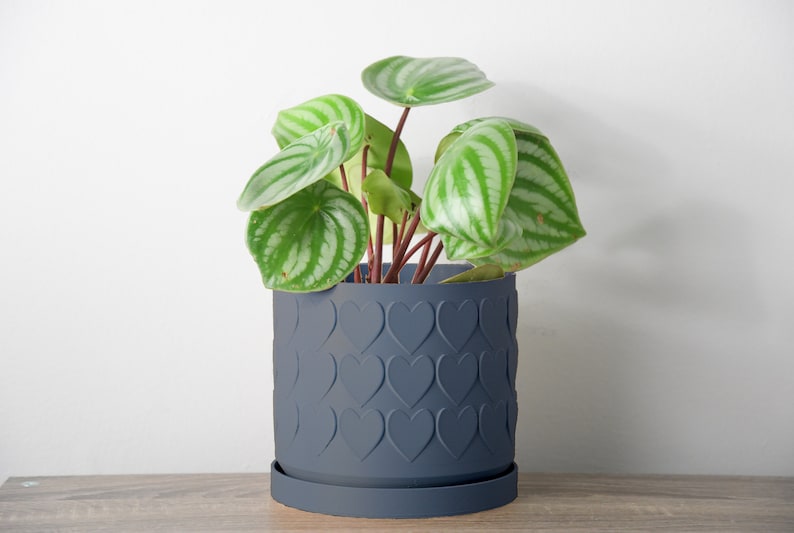 Heart Planter with Drainage, 3D Printed Plant Pot, Home Decor, Blue Planter, 6 Inch, 8 Inch, Succulent Pot, Flower Pot, Unique Planter, Plant Lover Gift, Gifts for Her, Event Decor, Farmhouse Planter, Minimalist Plant Pot, Miss Planty Pants