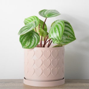 The Heart Pot in Light Pink