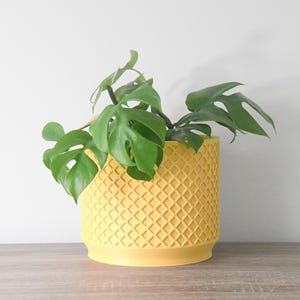 Op de afbeelding: Een gele plantenpot met een getextureerd ruitpatroon, met een groene plant met grote bladeren.