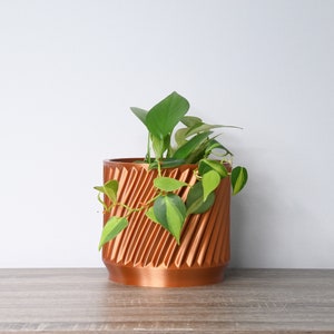 May include: A potted plant with green leaves in a copper-colored planter with a textured, ribbed design.