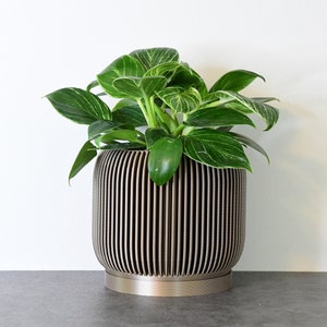 May include: A decorative, modern planter with a ribbed design, holding a vibrant green plant. The planter is a metallic bronze color and sits on a matching base. The plant has large green leaves with white veining.