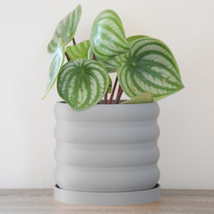 Bubbly Planter with Drainage, 3D Printed Plant Pot, Home Decor, 6 Inch, 8 Inch, Succulent Pot, Flower Pot, Unique Planter, Plant Lover Gift, Gifts for Her, Event Decor, Retro Planter, Minimalist Plant Pot, Miss Planty Pants