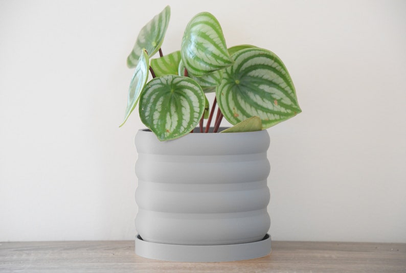 Bubbly Planter with Drainage, 3D Printed Plant Pot, Home Decor, 6 Inch, 8 Inch, Succulent Pot, Flower Pot, Unique Planter, Plant Lover Gift, Gifts for Her, Event Decor, Retro Planter, Minimalist Plant Pot, Miss Planty Pants