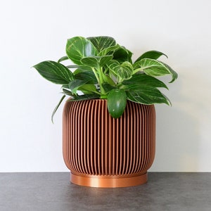 Könnte beinhalten: Ein kupferfarbener Topf mit geripptem Design, in dem eine grüne Pflanze mit weißen Flecken steht.