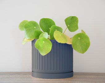 The Jetsetter Planter in Navy Blue