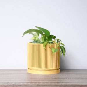 Puede incluir: Una maceta amarilla con diseño de nervaduras contiene una planta verde con enredaderas colgantes. La maceta tiene un platillo a juego.