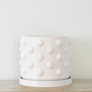 May include: White ceramic planter with a textured, polka dot design. The planter has a matching saucer.