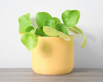 The Simple Planter in Yellow