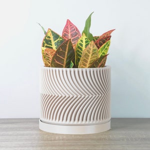 May include: A white ceramic planter with a wavy pattern, featuring a green and red leafy plant.