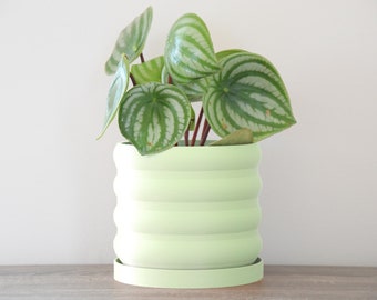 The Bubbly Planter in Mint Green