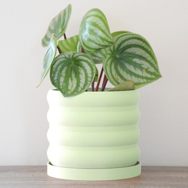 The Bubbly Planter in Mint Green