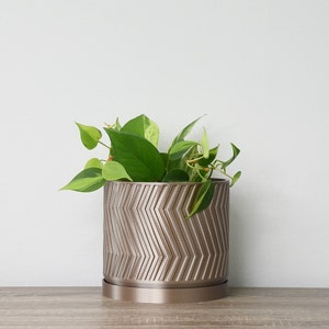 May include: A green plant in a brown ceramic pot with a chevron pattern. The pot has a matching saucer.