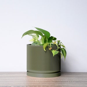 May include: A green ceramic planter with a ribbed design, featuring a leafy green plant with variegated leaves.