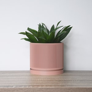 May include: A pink ceramic planter with a ribbed design, holding a green plant with long, narrow leaves. The planter has a matching saucer.