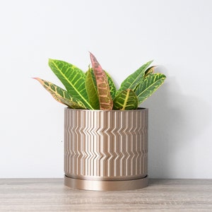 May include: A green and yellow houseplant in a gold geometric planter with a matching saucer. The planter has a textured, wavy design.