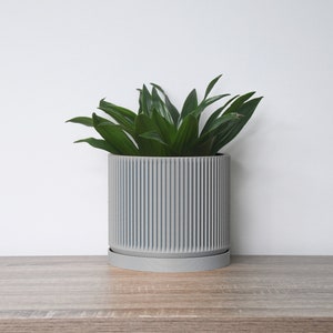 May include: A gray ceramic planter with a ribbed design, featuring a green plant with long, narrow leaves. The planter has a matching saucer.