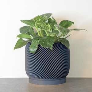 May include: A dark blue planter with a swirling, textured design holds a green plant with light green variegation.