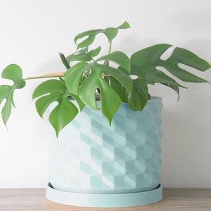 May include: A light blue ceramic planter with a geometric pattern, featuring a green Monstera plant with large leaves.