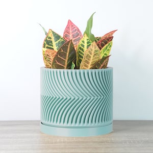 May include: A green ceramic planter with a wavy pattern, featuring a houseplant with variegated leaves in shades of red, yellow, and green.