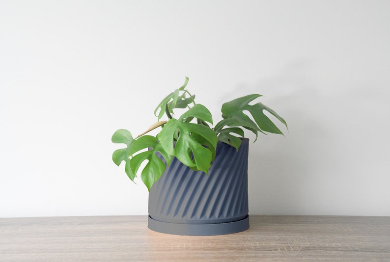 Penelope Planter with Drainage, 3D Printed Plant Pot, Home Decor, 6 Inch, 8 Inch, Succulent Pot, Flower Pot, Unique Planter, Plant Lover Gift, Event Decor, Modern Planter, Farmhouse Plant Pot, Miss Planty Pants