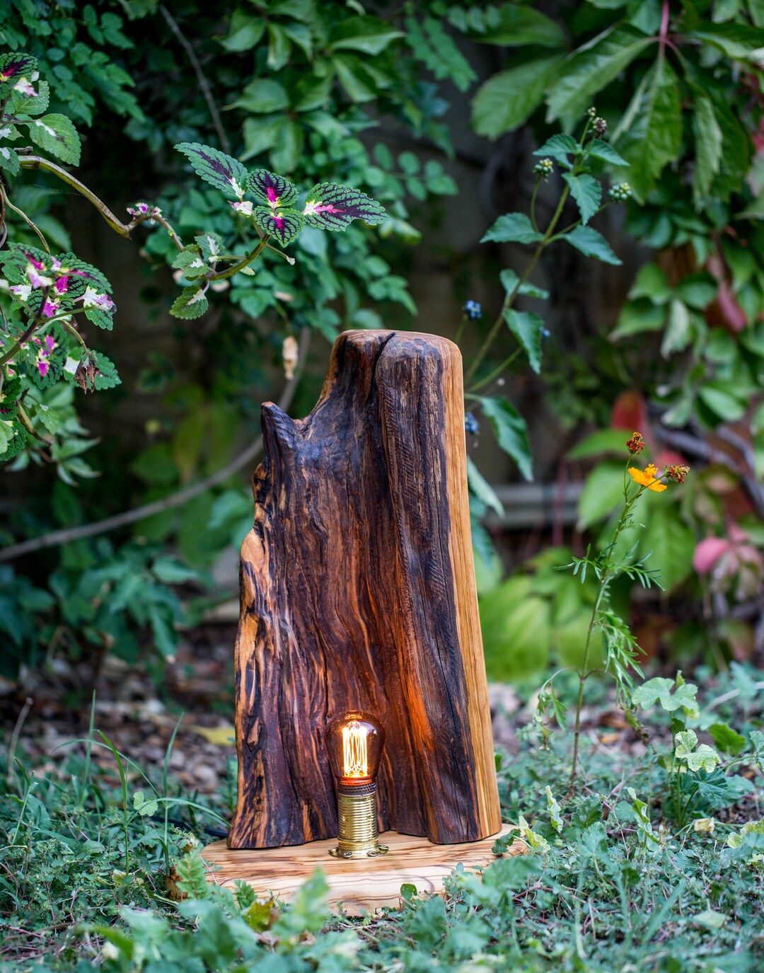 Olive Wood Lamp,handmade Wood Lights.sculpture Wood,rustic Lamp