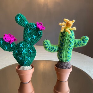 Handmade Crochet / Cactus