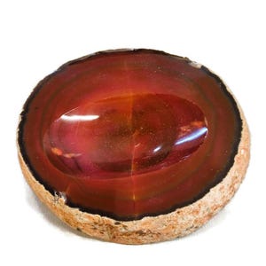 Peut inclure: Une tranche de géode d'agate rouge avec un intérieur poli, montrant des anneaux concentriques de couleur. La géode est de formation naturelle et a un extérieur rugueux et brun.