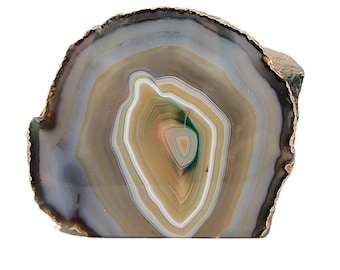 May include: A polished agate stone slice with concentric bands of gray, brown, white, and green. The natural stone has a rough, dark brown edge and a smooth, polished face. The center features a small, light pink area.