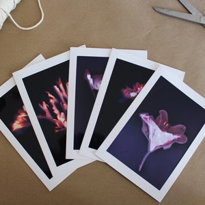 Packung mit 5, verschiedene handgemachte fotografische Lumen Drucken Grußkarten + Umschläge (blank innen) - weiß
