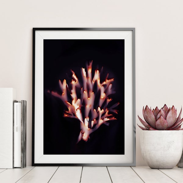 Bladder Wrack Ocean Seaweed - Unique Handmade Photographic Lumen Print, Wall Art, Alternative Photography - Eco-friendly Packaging