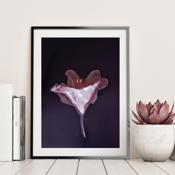 Lily Flower - Unique Handmade Photographic Lumen Print, Wall Art, Alternative Photography - Eco-friendly Packaging