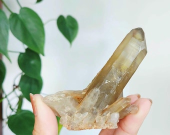 天然スモーキーシトリンクラスター ポイントB - Etsy 日本