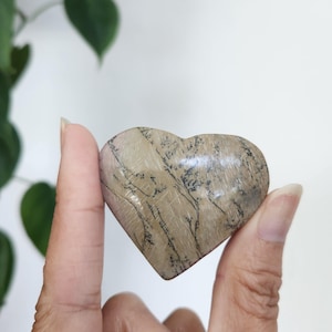 Picture Jasper Heart • 1.9&quot; Jasper Heart Carving •  Picture stone heart crystal gift Home Decor