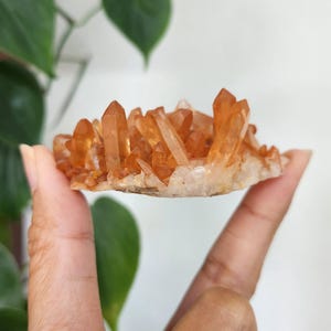 Tangerine Quartz cluster • Natural Brazilian Tangerine Quartz point specimen mineral cluster • Quartz Gift crystal home decoration