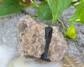 Black Tourmaline in Quartz matrix • Raw Tourmaline in quartz crystal specimen mineral chunck - healing protective gift home decor display