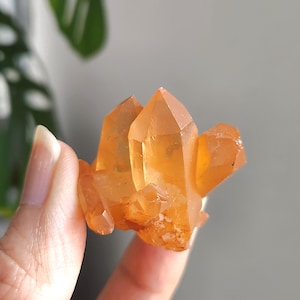 Tangerine Quartz cluster • Natural Brazilian Tangerine Quartz point specimen mineral cluster • Quartz Gift crystal home decoration