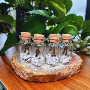 Wish bottle•Crystal Wish Bottle•Howlite Crystal chips Wishing Jars •Glass gemstone bottle with charm •Crystal Gift