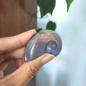 Flashy Rainbow Labradorite Shell crystal carving. This stunning crystal shell has full body flash on both sides. Ideal crystal gift to all crystal collecting family and friends.2.1" x 1.35".