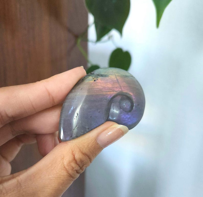Flashy Rainbow Labradorite Shell crystal carving. This stunning crystal shell has full body flash on both sides. Ideal crystal gift to all crystal collecting family and friends.2.1" x 1.35".