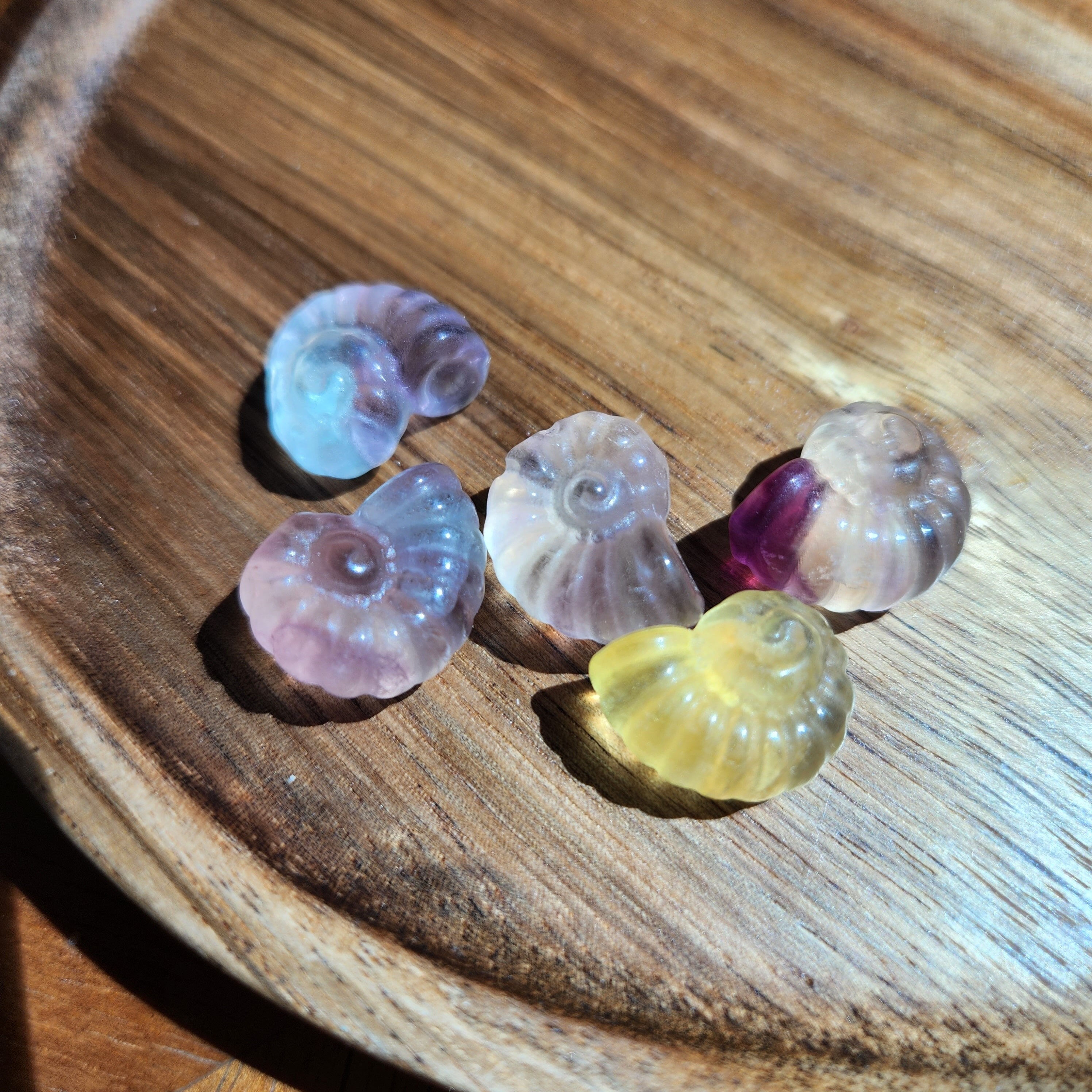 Mini Fluorite Shell Conch • 16mm Crystal Spiral Seashell • Green ...