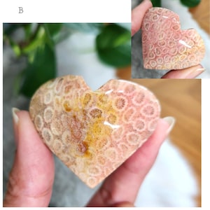 Coral Jade Heart • Fossilized Coral Jade crystal heart carving • Coral Stone heart Crystal home decoration gift