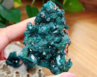 Dioptase Specimen • Cubic Dioptase cluster • Raw Dioptase mineral • Crystal gift collection home decoration• Congo Dioptase