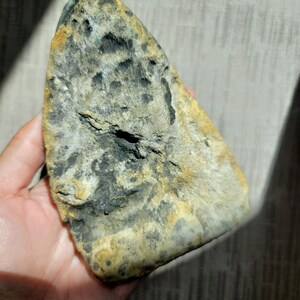 Raw Grey Amethyst with staclatite  from the mines of Brazil. Very much in it's natural raw state, this unique collector's piece comes with a customised wooden base. stands about 6inches tall.
