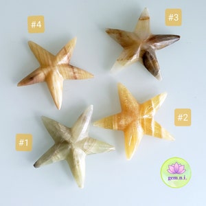 May include: Four carved onyx starfish in various shades of green, brown, and yellow. The starfish are arranged in a row on a white surface. The numbers 1 through 4 are written in black on white squares next to each starfish.