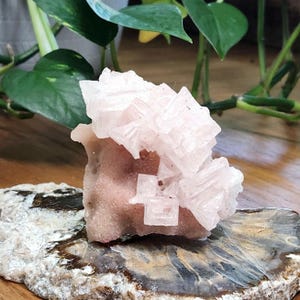 Pink Halite Cluster • Cubic Halite mineral • Halite Specimen • Crystal gift - crystal home decor