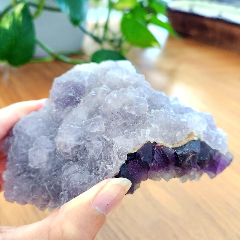 Rainbow Fluorite specimen on white fluorite cubic matrix. This unique rough mineral has beautiful layers of white, purple and green fluorite. Perfect gift to all crystal collecting family and friends.
