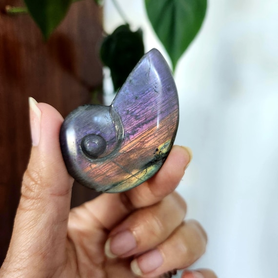 Labradorite Shell • 2.1"Rainbow flash Labradorite Conch • Labradorite crystal spiral shell conch carving gift, crystal home decor display
